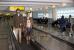 Away we go Bild (9)