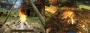 Die Feuerstelle in Risen wirkt realistischer als die aus Gothic 3.