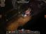 Bilder zu Torchlight aus unserer Testversion (15)