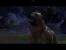Der Mabari-Hund aus Dragon Age: Origins.