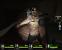 Left 4 Dead 2-Screenshot (25)