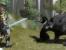 Neverwinter Nights 2 – 82 zu 91 Prozent – Neverwinter Nights