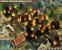 3. Anno 1404 - 1.719.526 Klicks