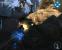 Screenshots aus James Cameron's Avatar: Das Spiel. (11)