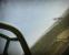 Wings of Prey (8)