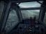 Wings of Prey (11)