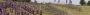 Rome: Total War - erschien 2004.