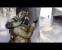Splinter Cell: Double Agent - vorgeschlagen vom PC Games-Leser Odin333.