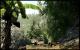 Bilder aus der Crysis-Mod Living Hell Noname Island 2. (1)