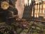 Neue Screenshots aus Drakensang: Am Fluss der Zeit. (13)