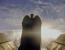 Legion (1)