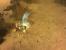 Weitere Screenshots aus Diablo 3. (21)