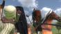Die Demo zu Mount & Blade Warband steht zum Download bereit. (6)