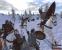 Die Demo zu Mount & Blade Warband steht zum Download bereit. (14)