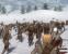 Die Demo zu Mount & Blade Warband steht zum Download bereit. (18)