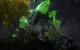 Stone Giant: DirectX 11 Techdemo zum Download bereit (6)