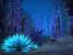 World of Warcraft Cataclysm (46)