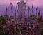 Dalaran, Hauptstadt Nordends hoch oben in der Luft.