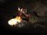 <strong>Diablo 2 - Duriel</strong>
Duriel, der Herr des Schmerzes, ist der Endgegner des zweiten Akts von Diablo 2. Zu seinen gefährlichsten Waffen zählt die Aura Heiliger Frost, die den Charakter verlangsamt. Da er sehr hohen Schaden austeilt und dem Spieler nur wenige Fluchtmöglichkeiten bietet, hat sich schon der eine oder andere Held die Zähne an ihm ausgebissen. Zu schaffen ist der Boss allerdings trotzdem. Am leichtesten gelingt das im Nahkampf mit einer guten Einhänderwaffe und einem soliden Schild.