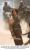 Prince of Persia (6)