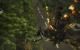 Just Cause 2 in 1.680 x 1.050 und allen Details.