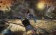 Neben den Pflanzen gibt es in Bulletstorm auch konventionelle Gegner, die Sie auch per Fuss-Tritt loswerden können.