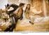 Prince of Persia (19)