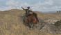 <strong>Red Dead Redemption</strong> - Sie dürfen Wildpferde zureiten, Gegner mit Ihrem Gaul einschüchtern oder den Zossen gar erschießen, um mit Haut und Fleisch Geld zu verdienen.