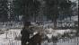 <strong>Red Dead Redemption</strong>: Bei Rockstars Western-Spiel wussten besonders die Landschaften zu beeindrucken. Die Wälder stellten dabei natürlich keine Ausnahme dar.