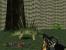 Turok (1996)
