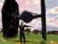 Platz 17: Star Wars Galaxies - rund 50.000 Abonnenten