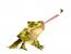 Waldfrosch