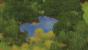 Guppy Gills Pond