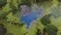 Hollowlog Springs
