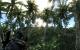 Mod-Download für Crysis: So sieht der Crytek-Shooter mit Cel-Shading-Grafik aus. (1)