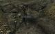 <strong>Fallout 3:</strong> Das Postapokalypse-Spiel von Bethesda bekam ebenso wie Dragon Age: Origins ein <a class="posRel pe-4" href="http://news.bigdownload.com/2008/12/08/download-fallout-3-hd-texture-pack/" target="_blank" rel="noopener " >HD Texture-Mod<span class="icon extLinkIcon posAbs"></span></a> spendiert.