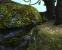 <strong>The Elder Scrolls: Oblivion</strong> - Die Sammlung an <a class="posRel pe-4" href="http://devnull.sweetdanger.net/totoworld.html" target="_blank" rel="noopener " >Oblivion Textur-Mods<span class="icon extLinkIcon posAbs"></span></a> verspricht, optische Verbesserungen für die Spielwelt, die man deutlich sieht.