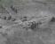 Screenshots aus ArmA 2: Operation Arrowhead. (6)