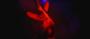 Enter the Void (4)