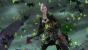 Guild Wars 2 Berufe Guide: Mit unserem Handwerks-Guide werdet ihr in allen Berufen des Online-Rollenspiels zum Großmeister. (6)