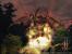 Zum allerersten Mal als Vollversion auf Heft-DVD: Top-Rollenspiel Two Worlds.