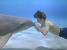 <strong>Flipper</strong>: Ein Ecco the Dolphin als 3D-Remake? Womöglich mit einem Kampf gegen den Weißen Hai? Oder mt diesem als Koop-Buddygame durch die Tiefsee? Nach Schleichfahrt und zuletzt Silent Hunter könnte es mal wieder unter Wasser gehen.