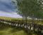 Napoleonic Total War