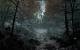 PC Games-User "Council" hat bislang die besten Chancen das Bilderpaket abzugreifen. Der Bilderkünstler hat gleich vier CryEngine 2-Screenshots gepostet, die wir aufgrund der Einzigartigkeit und Qualität allesamt am Gewinnspiel teilnehmen lassen. 