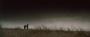 The Road (6)