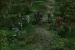 <a class="posRel pe-4" href="http://sc2.nibbits.com/maps/project/74896/defence-of-the-universe" target="_blank" rel="noopener " ><strong>Defence of the Universe</strong><span class="icon extLinkIcon posAbs"></span></a> orientiert sich an der beliebten DotA-Mod für Warcraft 3. Es gibt sechs Helden (Dark Templar, Ghost, High Templar, Marauder, Marine, Ultralisk) mit jeweils vier Fähigkeiten.