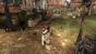 Fable 3 Komplettlösung mit Tipps und Tricks auf Cynamite.de für Xbox 360 (3)