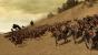 Platz 19: Lionheart: King's Crusade erhielt magere 3 User-Stimmen und belegt damit den vorletzten Rang.