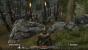 Die Paladine Rhobars und die Soldaten vom Silbersee lieferten sich eine wilde Schlacht. Selbst die Vegetation blieb nicht verschont.