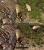 Arcania: Gothic 4 im Grafikvergleich: PC Games vergleicht die PC- mit der Xbox 360-Version. (2)